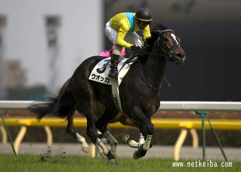 競馬ファンが選ぶ「思い出の日本ダービー馬」ランキングTOP10！/最終結果発表