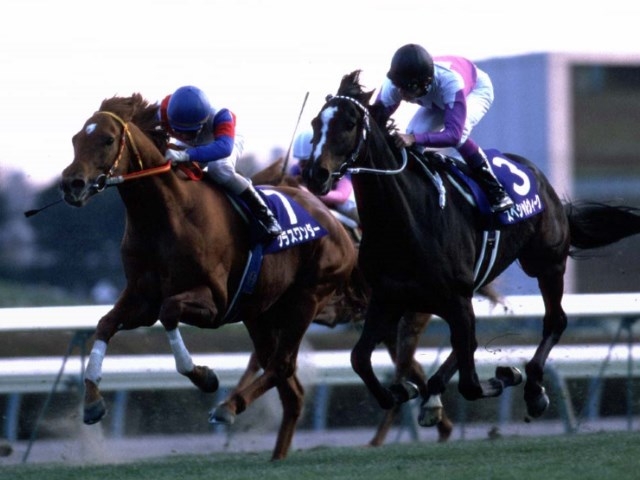 有馬記念史に残る名勝負となった1999年グラスワンダーとスペシャルウィーク(撮影：下野雄規)