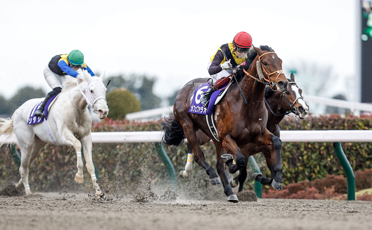 【フェブラリーステークス2023予想】注目ポイントは根岸Sの着順と前走距離！ 過去10年のレース結果（1～3着馬）のデータ一覧/競馬予想データ