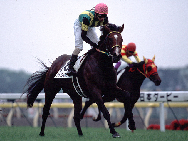 ジャングルポケットの軌跡 成績・血統・産駒・ニュースなど 2001年の日本ダービー馬＆年度代表馬/名馬列伝