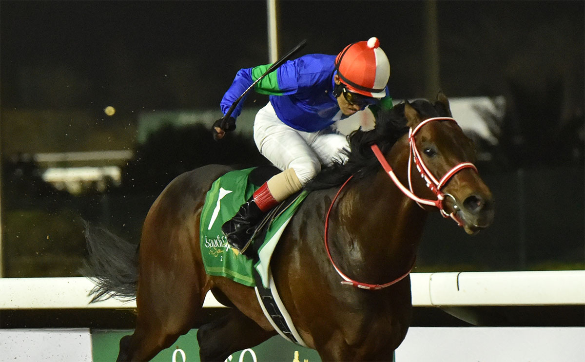 サウジカップ（G1）歴代日本馬出走・成績一覧