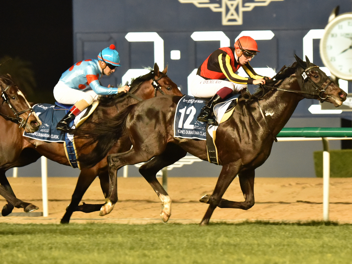 2023年ドバイワールドカップデー各競走に登録している日本馬の一覧