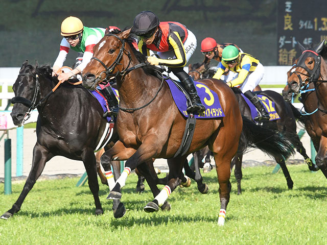 【POG2022-2023】今年の女王はどの馬か？ タイム指数ランキング/3歳牝馬・芝
