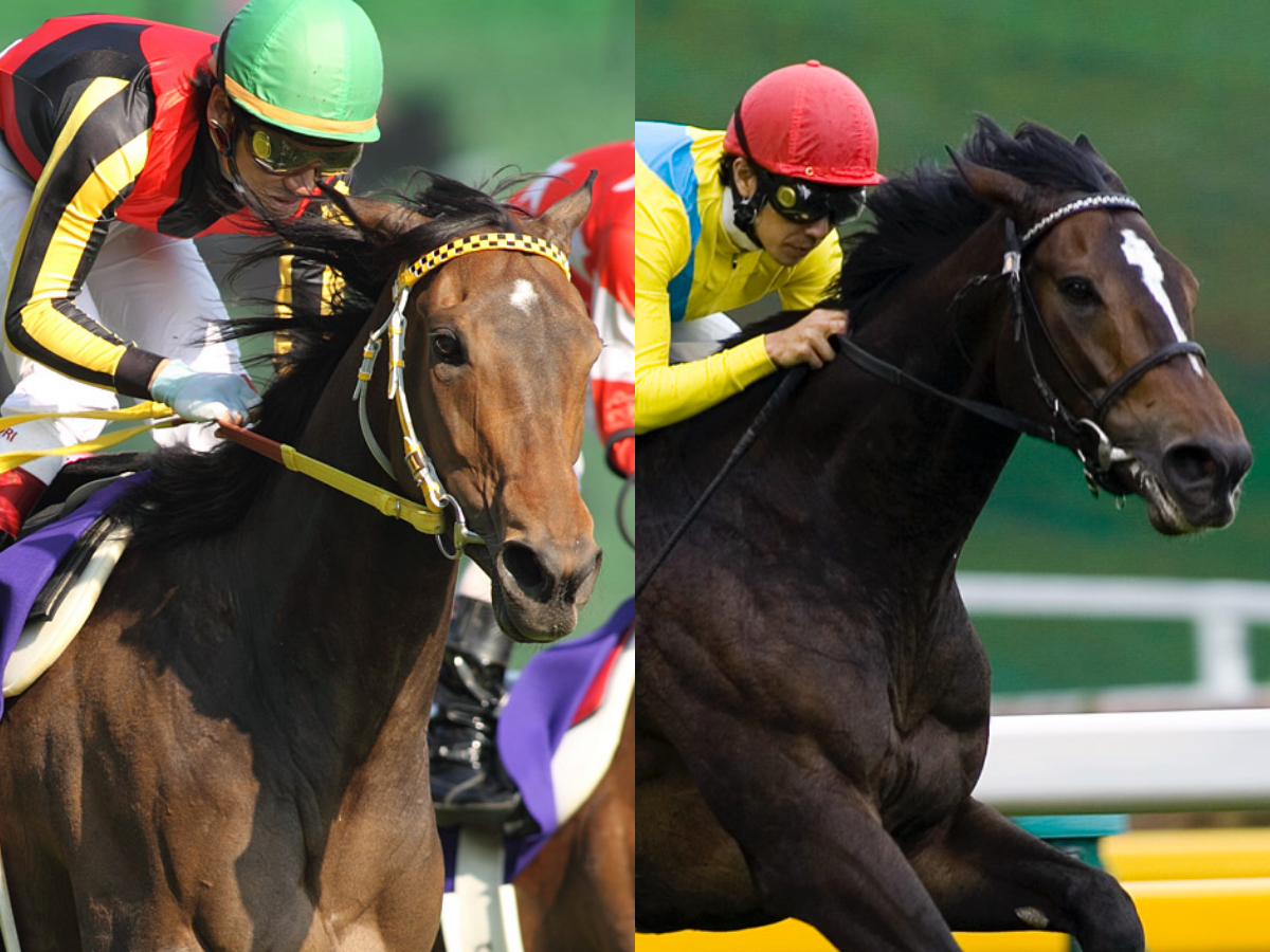 【ヴィクトリアマイル(G1)】過去の激戦を振り返る / 名レースメモリアル