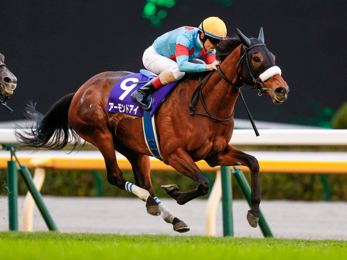【日本競馬の殿堂】歴代の顕彰馬一覧 アーモンドアイが新たに殿堂入り！ 史上35頭目
