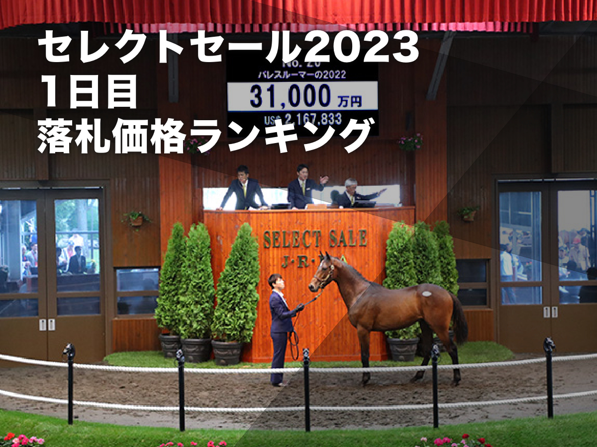 3億1000万円で落札された「パレスルーマーの2022」(提供：日本中央競馬会)