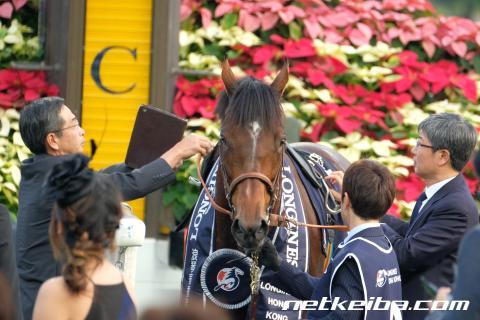 show_photo.html?horse_id= show_photo.html?horse_id=