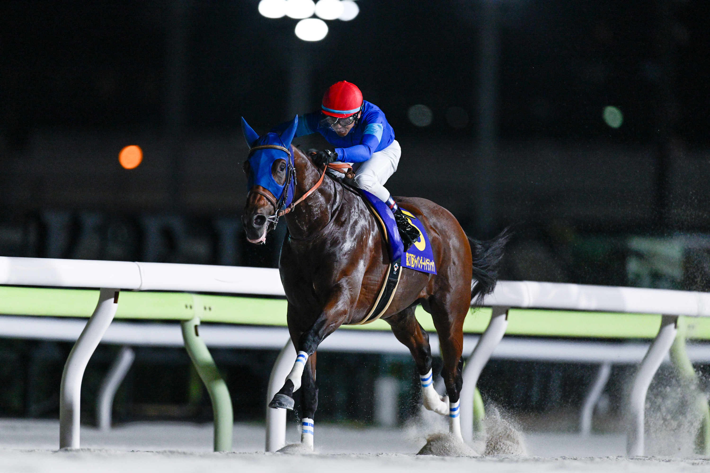 CHAMPIONS CUP 2025: Latest News, Entries, Notable Runners, Race