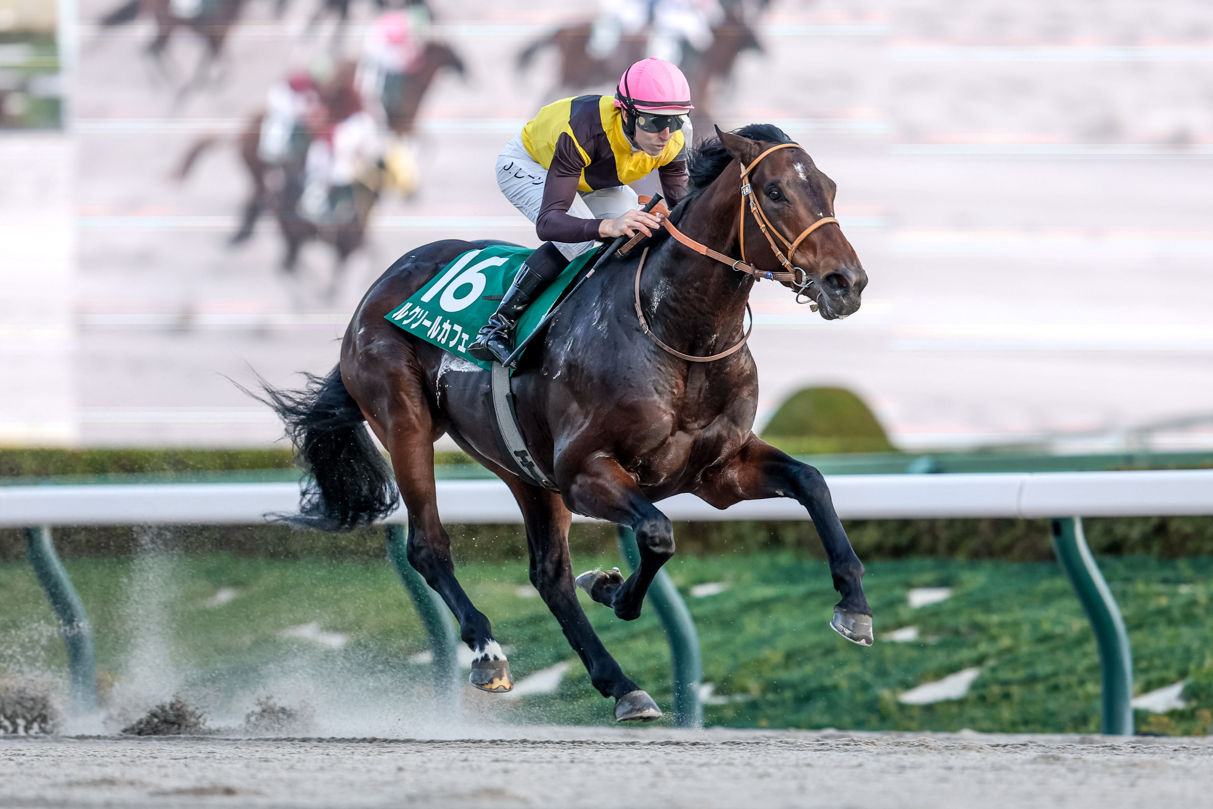 CHAMPIONS CUP 2025: Latest News, Entries, Notable Runners, Race