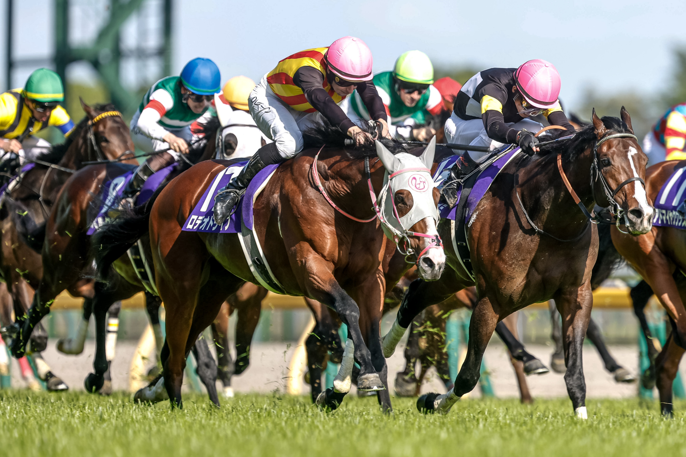 NHK MILE CUP Past Winners: List of Previous NHK Mile Cup (G1
