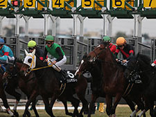 Shin Emperor to follow his full-brother's footsteps in the G1 Prix de l'Arc  de Triomphe | Horse Racing News - netkeiba