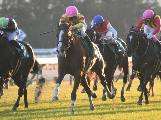 Toshin Macau wins second consecutive G3 Keihan Hai | Horse Racing