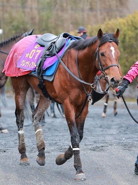 Grenadier Guards to retire to Shadai Stallion Station after the