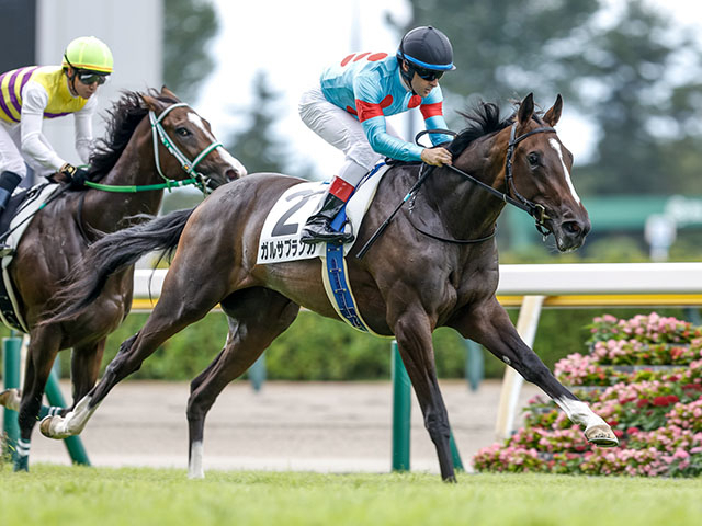 blue-blooded-garza-blanca-to-run-in-the-g2-tulip-sho-horse-racing