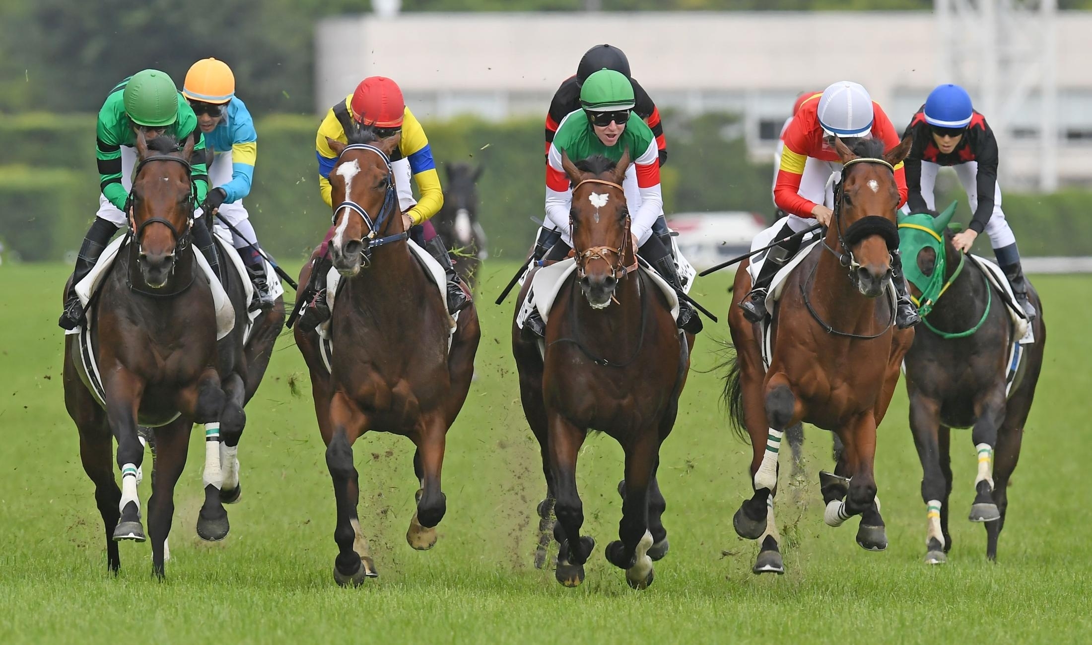 "This is a special winner for me" Damian Lane claims Japanese Derby