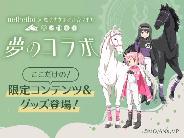 netkeiba �� ����ˡ�����ޤɤ����ޥ����ס�̴�Υ���ܡ�