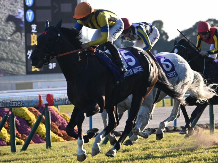 ޥCS 󥿥ޥ󥿥-01 | ľե륵