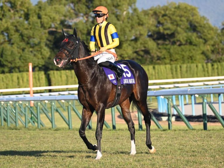 ޥCS 󥿥ޥ󥿥-02 | ľե륵