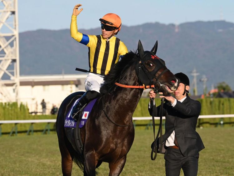 ޥCS 󥿥ޥ󥿥-03 | ľե륵