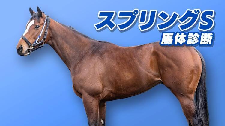 人気デザイナー 超活用ネット競馬で稼ぎまくれ! ネット株より簡単 ...