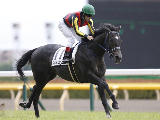 【JRA】グランアレグリアの全弟ブルトガングが安楽死 | 競馬 ...