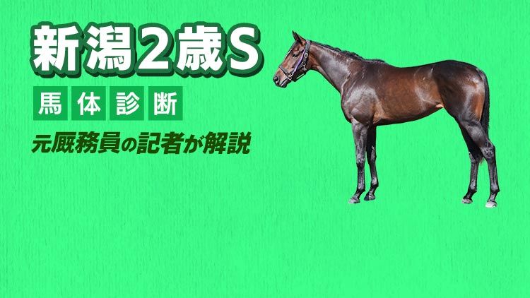 元厩務員経歴を持つ敏腕記者が<br/>買い時を迎えた馬体を解説！