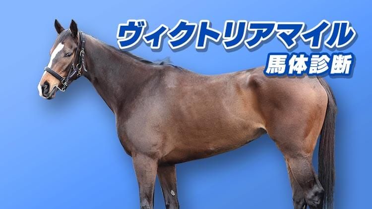 netkeiba ネットケイバ - 日本最大の競馬情報サービス