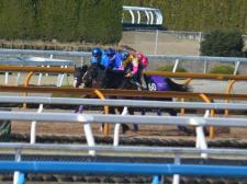  シュヴァルグラン、阪神大賞典1週前追い切り速報/栗東トレセンニュース