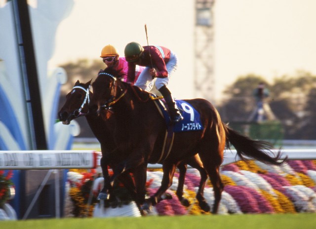 マイルGI・2勝の名牝ノースフライトが死去