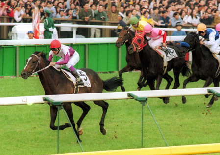 スペシャルウィーク死す　ダービー初Ｖ馬に武豊「一生忘れられない馬」