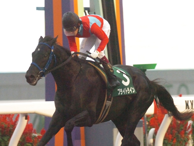 【JRA】ブライトラインが予後不良に、ファルコンS・みやこS勝ち馬