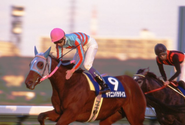 ヤマニンパラダイスが死亡、26歳　1994年のJRA賞最優秀3歳牝馬