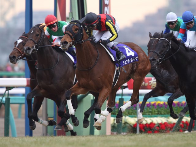 オグリキャップの、引退レ-スばねる、1990年有馬記念優勝、少しよごれ