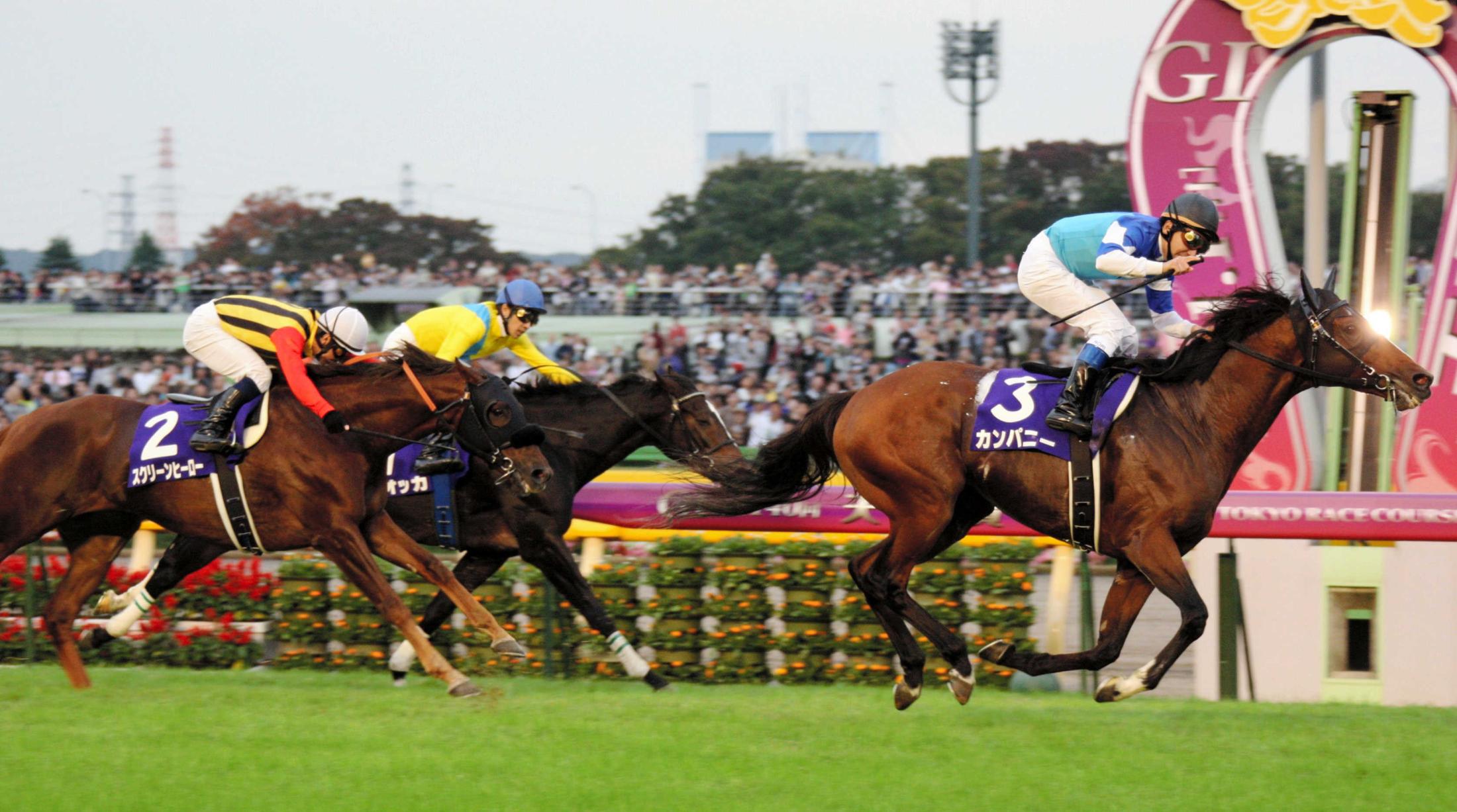 カンパニー死んでいた　１７歳、腎不全　０９年にＧ１・２勝