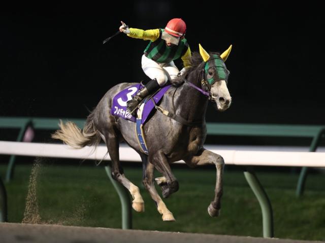 【盛岡・ダービーグランプリ結果】地元のフレッチャビアンカが4馬身差快勝