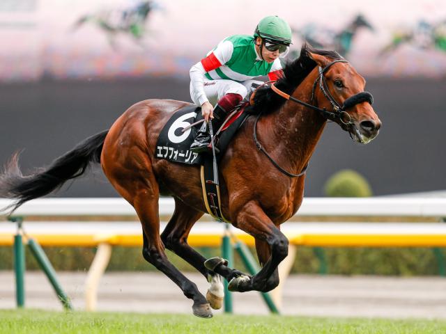 2月14日に引退報道 エフフォーリアの軌跡・最新情報など | 競馬