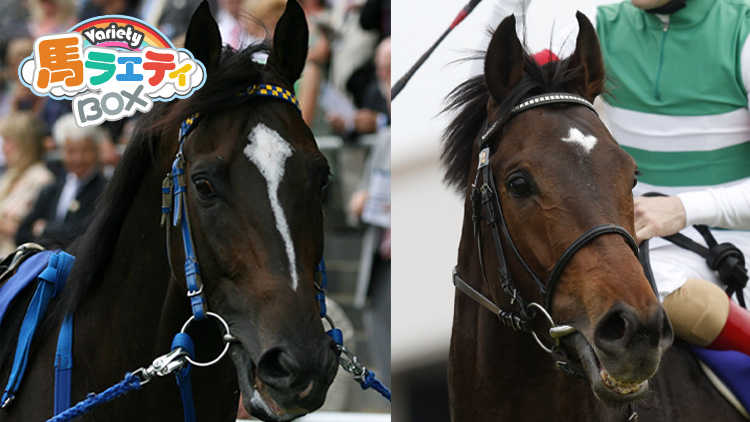 【セレクトセール2022】新種牡馬サートゥルナーリアは「すでに成功間違いなし」