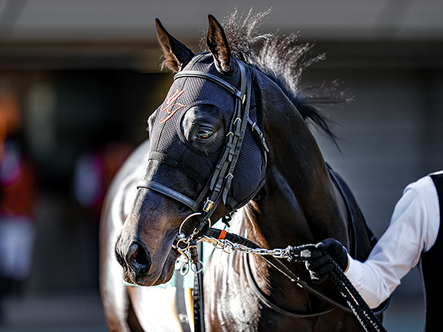【JRA】予後不良のグロンディオーズが16日付で登録抹消、2021年ダイヤモンドS覇者