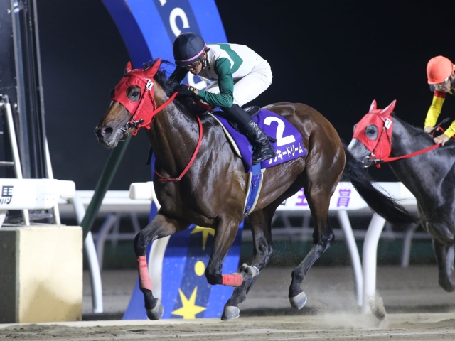 【門別・王冠賞結果】ラッキードリームが史上6頭目の3冠達成！
