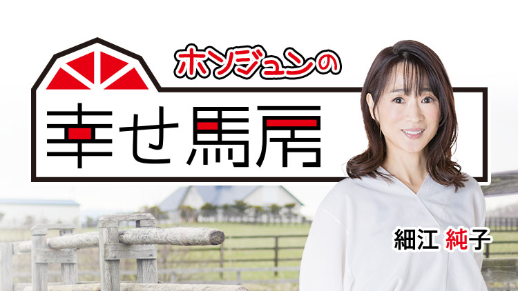 シンザン記念の注目馬