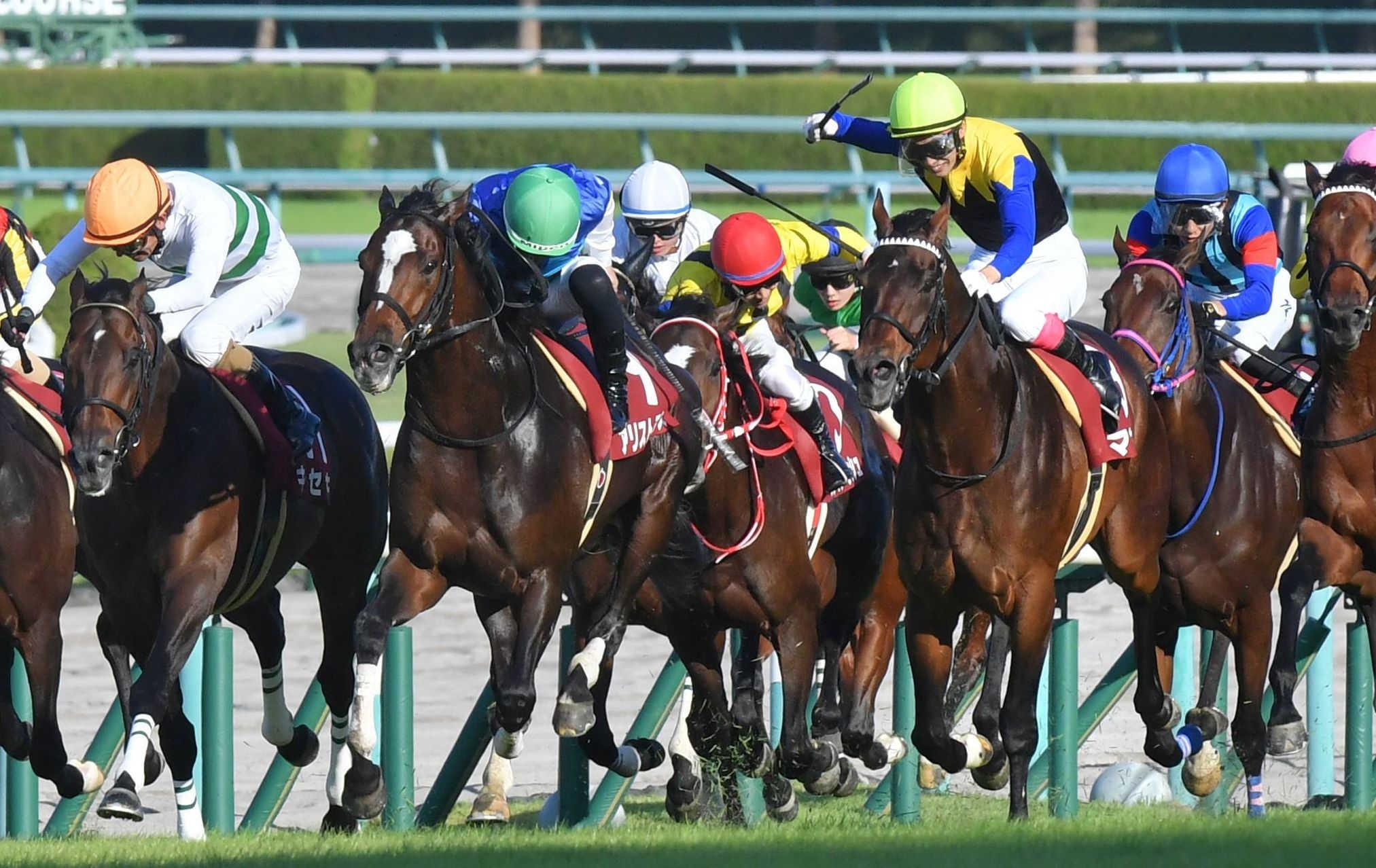 【京都大賞典】８歳マカヒキ復活Ｖ　Ｇ１馬過去最長の約５年ぶり勝利に友道師万感