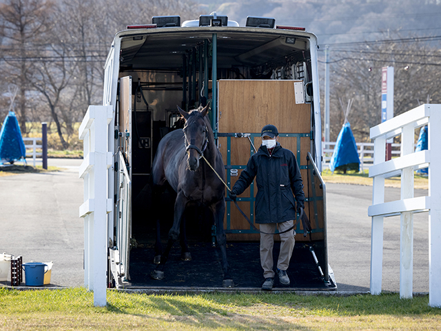 「クラシックを目指せる馬を」GI・2勝ワールドプレミアがスタッドイン