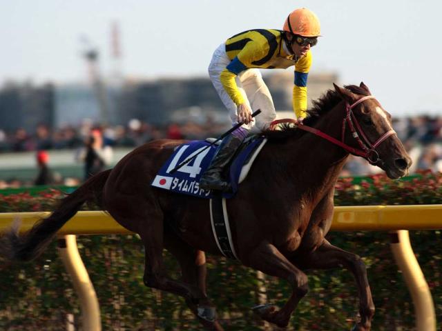 タイムパラドックスが死亡　現役時代にGI級競走5勝