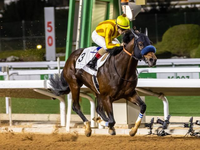 【リヤドダートスプリント結果】ダンシングプリンスが逃げ切りで圧勝！ルメール騎手は4勝目