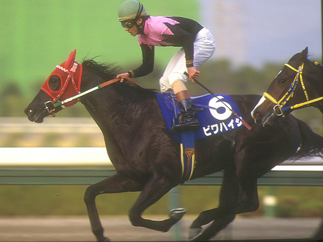名牝ビワハイジ死す、29歳　産駒にブエナビスタ・ジョワドヴィーヴルなど活躍馬多数