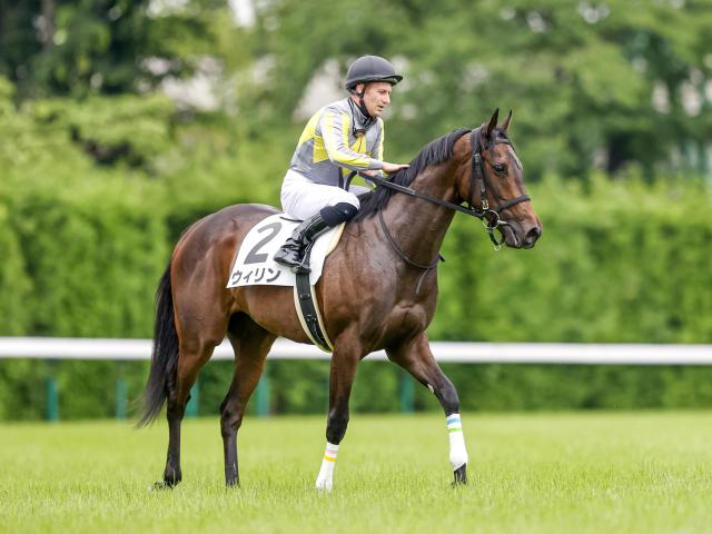 【フィリーズレビュー予想】スピードが鍵、チューリップ賞とは性質の異なる桜花賞トライアル