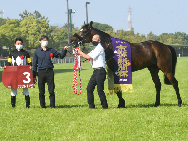 日本ダービー 2022 出走馬まとめ】大一番へ挑む精鋭18騎の