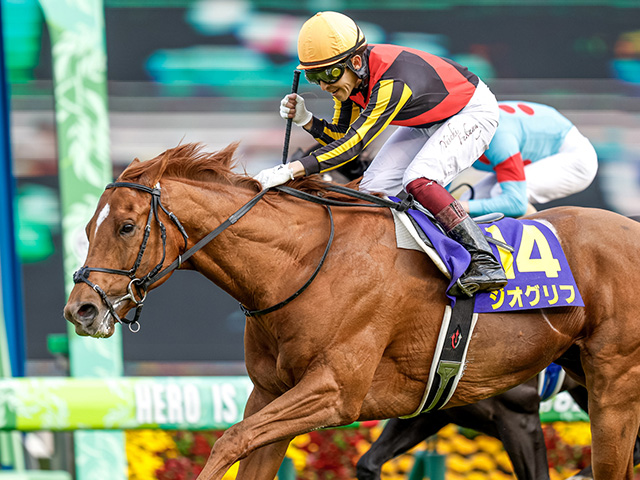 日本ダービー予想 過去10年のレース結果 1 3着馬 のデータ一覧 競馬予想データ 競馬まとめ Netkeiba Com