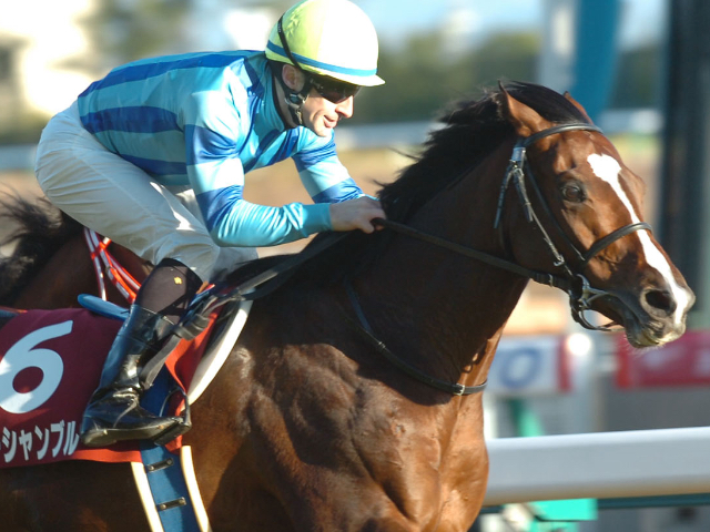 重賞2勝馬オーシャンブルーが骨折のため安楽死　2012年有馬記念でゴールドシップと「ステイゴールド産駒ワンツー」