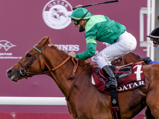日本円にして約3億円！ 凱旋門賞馬ソットサスの全弟を矢作芳人調教師が高額落札/アルカナ・ドーヴィル1歳セール2022